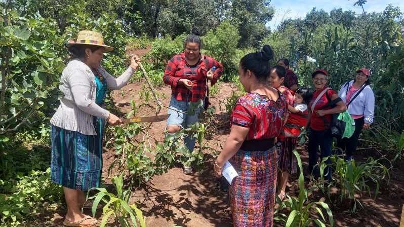 grupo de mujeres lideresas de treinta Centros de Aprendizaje para el Desarrollo Rural (CADERES) de Guatemala participando en giras técnicas para el intercambio de experiencias